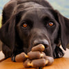 @junior_the_copenhagen_lab