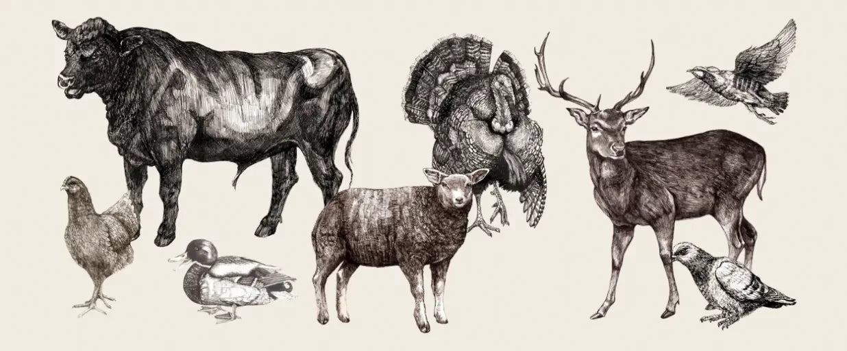 Lots of meat in the meal