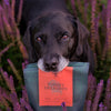 photo111 @junior_the_copenhagen_lab