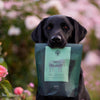 photo11 @junior_the_copenhagen_lab