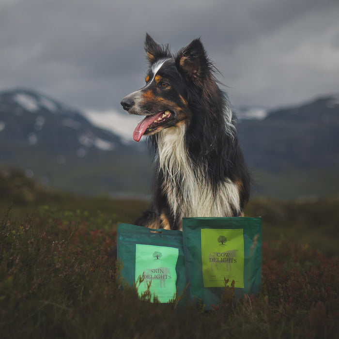 @nordictail