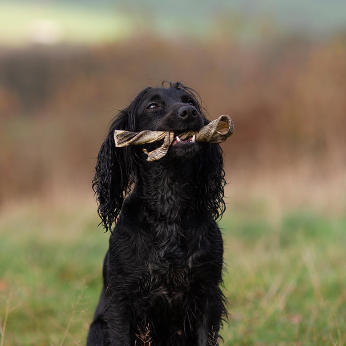 photo3_@theyorkshiredalesduo