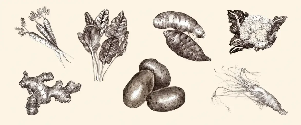 Vegetables and root vegetables in the meal