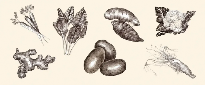 Vegetables and root vegetables in the meal
