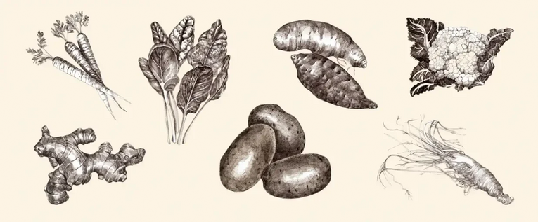 Vegetables and root vegetables in the meal