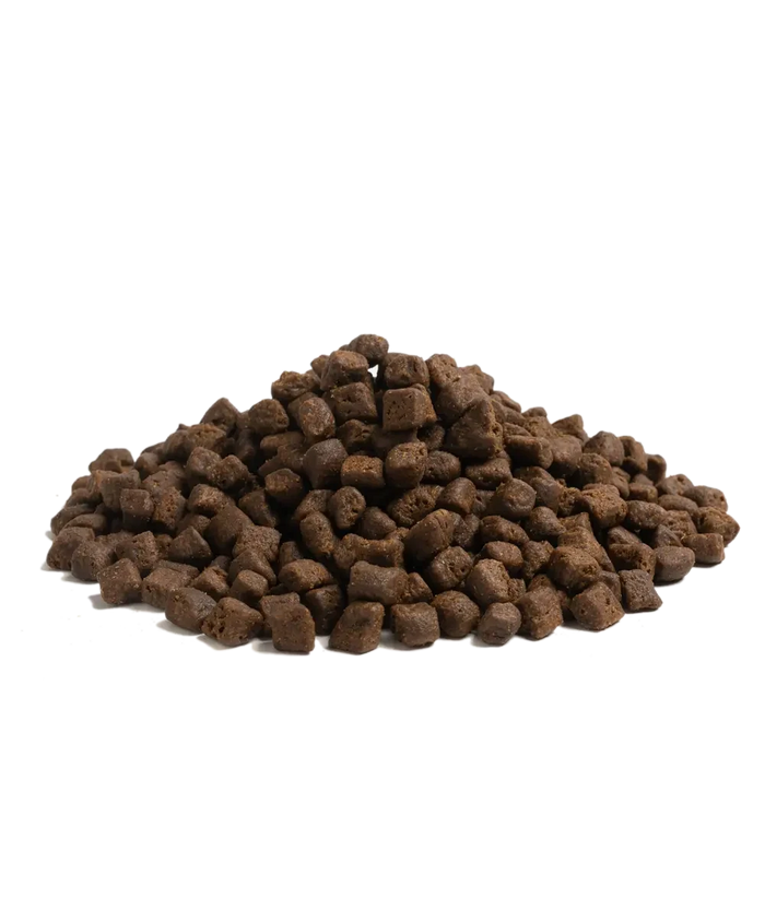 Which Puppy Kibble is Best?
