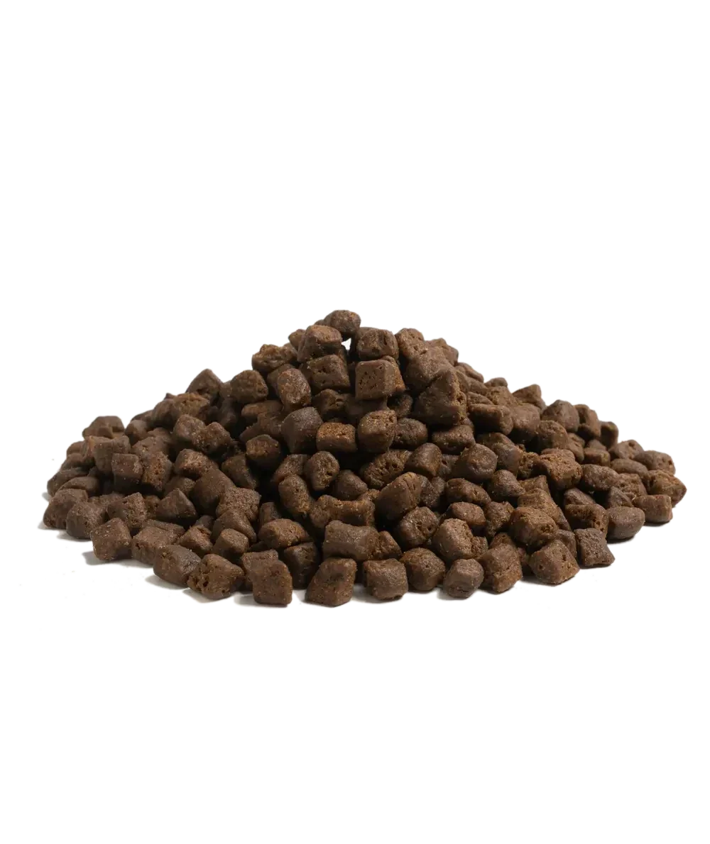 Which Puppy Kibble is Best?