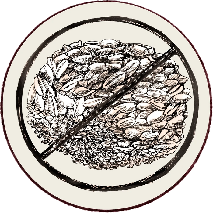 Why Grain Free Dog Food is Better | Best Grain Free Dog Food in Ireland