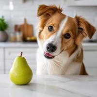 Can Dogs Eat Pears? Complete Guide for Irish Dog Owners