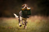 Luxury Lifestyle Dog Treats