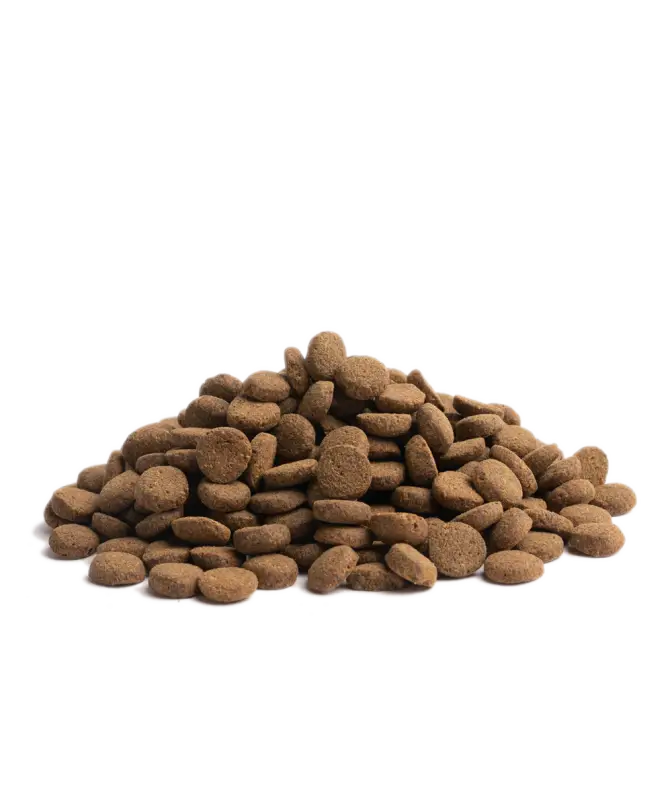 10KG ESSENTIAL CONTOUR - Dog food