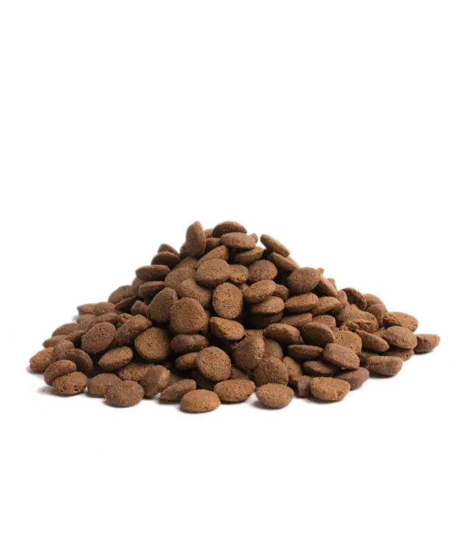 Delicious large breed kibble, HIGHLAND LIVING, is a grain-free dog food that combines natural ingredients such as Norfolk Black turkey, Aberdeen Angus beef, and Scottish salmon to promote vitality while maintaining a grain-free diet.