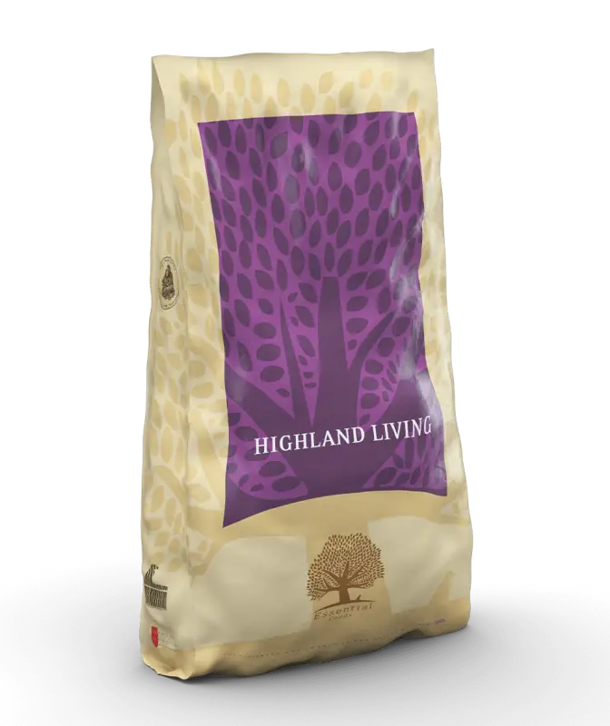 ESSENTIAL HIGHLAND LIVING is a grain-free dog meal inspired by Scotland, featuring local ingredients like turkey, beef, and salmon, designed for normal activity levels and stable blood pressure