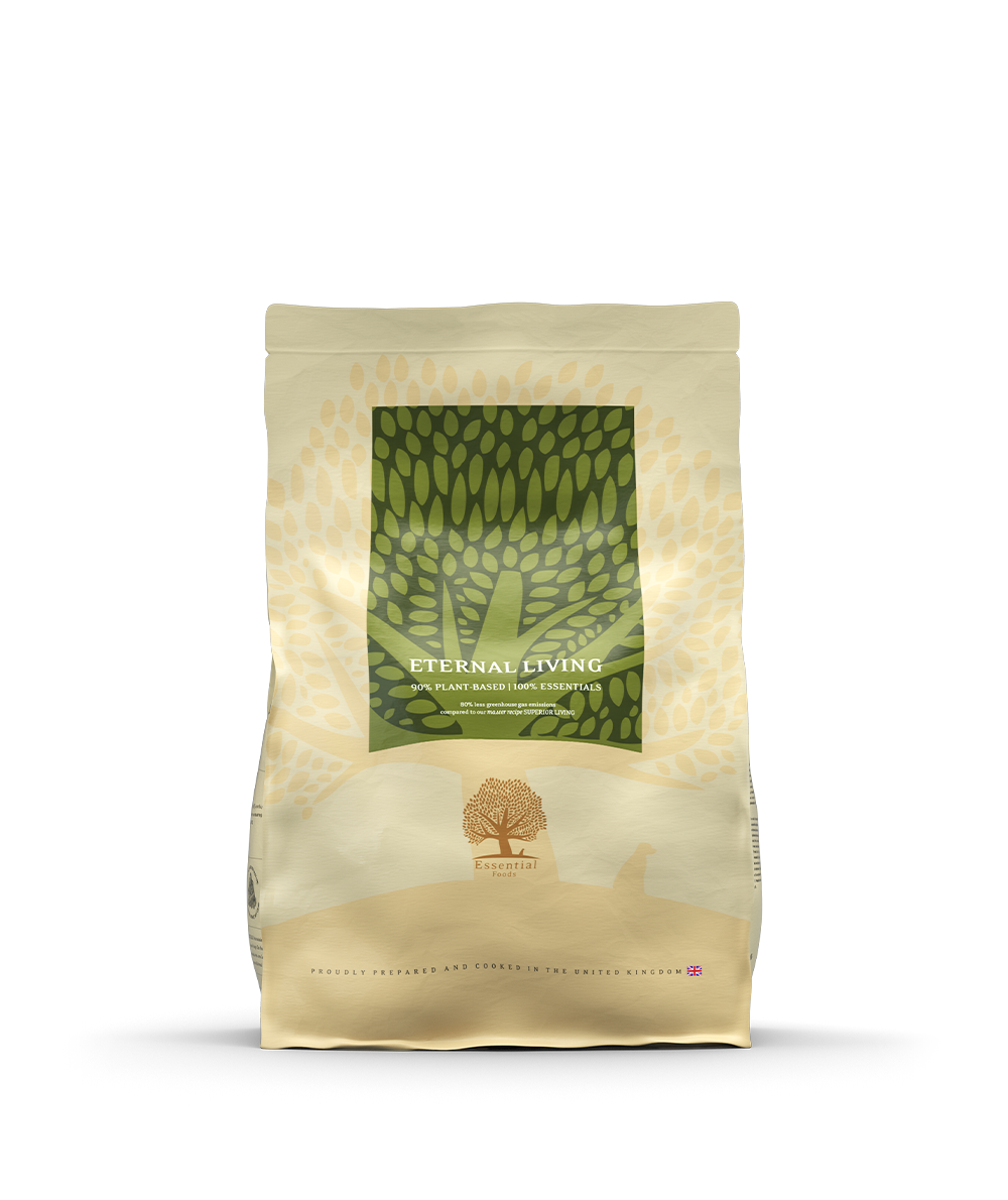 Essential living dog 2024 food