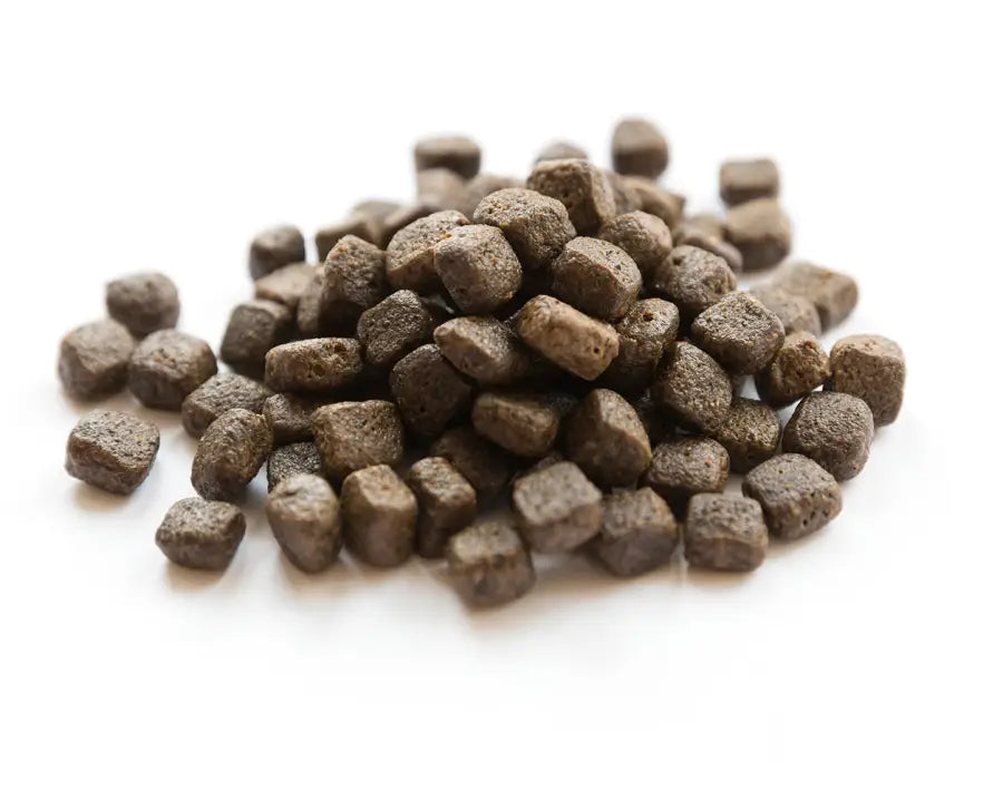 2.5KG ESSENTIAL ESTATE LIVING - Dog food