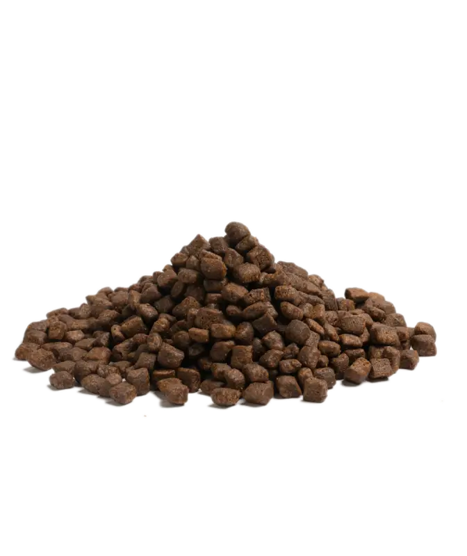 2.5KG ESSENTIAL HIGHLAND LIVING - Dog food