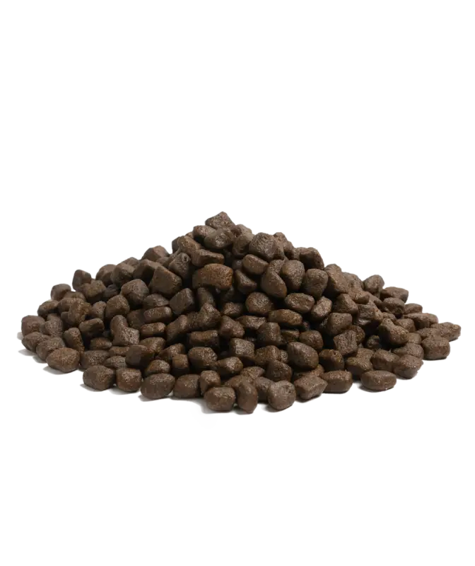 2.5KG ESSENTIAL NAUTICAL LIVING - Dog food