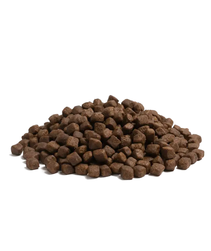 2.5KG ESSENTIAL SUPERIOR LIVING - Dog food