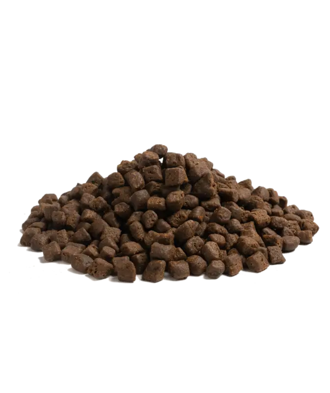 2.5KG ESSENTIAL THE BEGINNING - puppy dog food