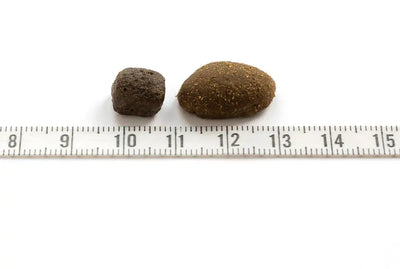 The difference in size between essentials older 2.5kg kibble and 10kg kibble