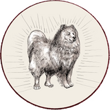 Hypoallergenic Dog food
