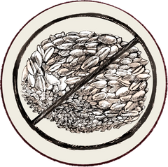 Grain Free Essential Foods