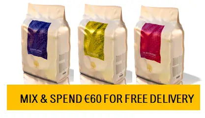 3KG ESSENTIAL OLDER