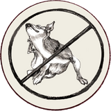 Stop Allergies for dogs