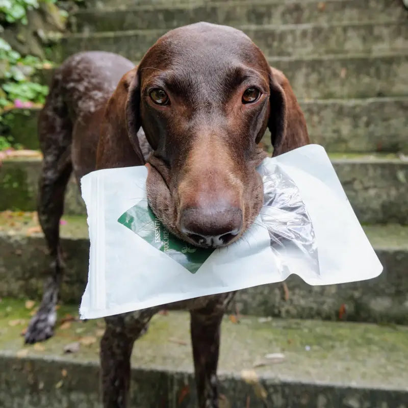 ESSENTIAL FINEST DUCK HERB & APPLE SAUSAGES 6PCS - Dog Food Treats