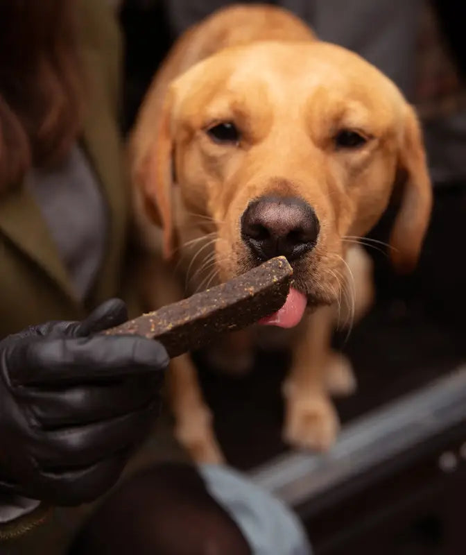 Essential Finest Lamb & Venison Bars 3 pcs - TREATS