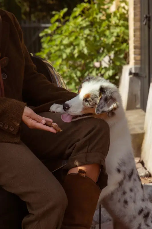 ESSENTIAL FINEST SALMON & PARSLEY SMALL SAUSAGES 20PCS - TREATS
