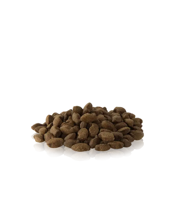 ESSENTIAL LAKE & SEA TINY CRACKERS 100G - Dog Food Treats