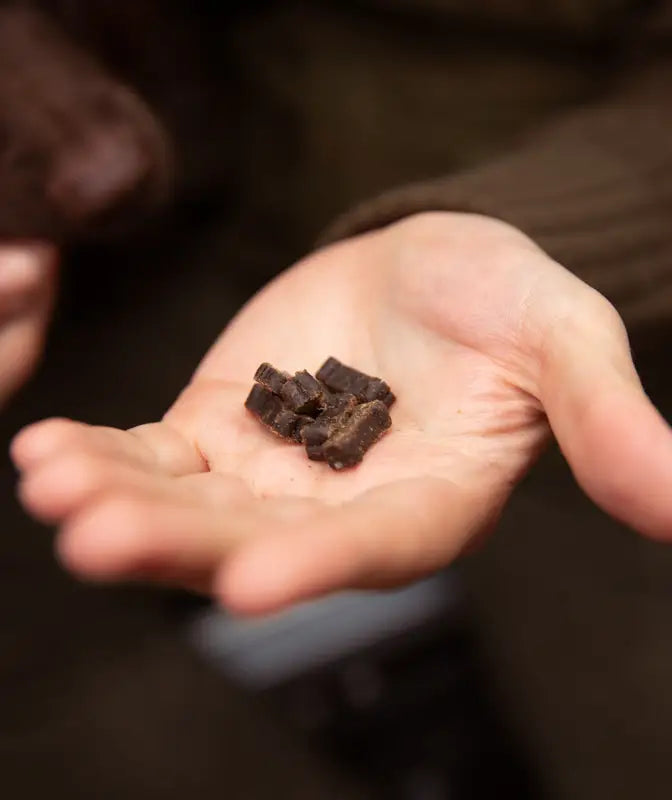 ESSENTIAL LAMB MINI DELIGHTS 100G - TREATS