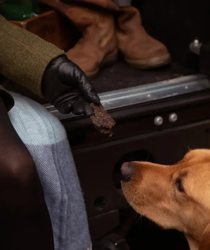 ESSENTIAL LIVER DELIGHTs - Dog Food Treats