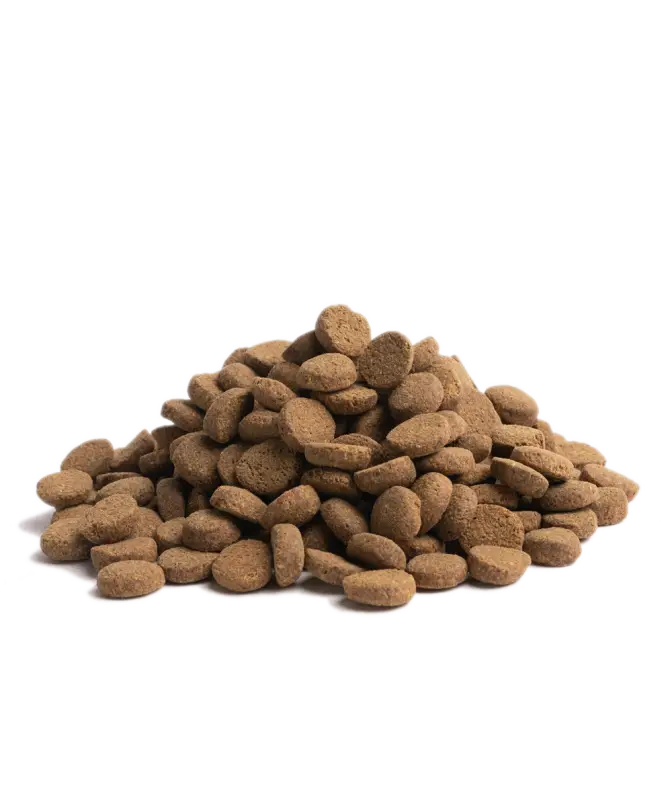 ESSENTIAL OLDER 10KG - Dog food