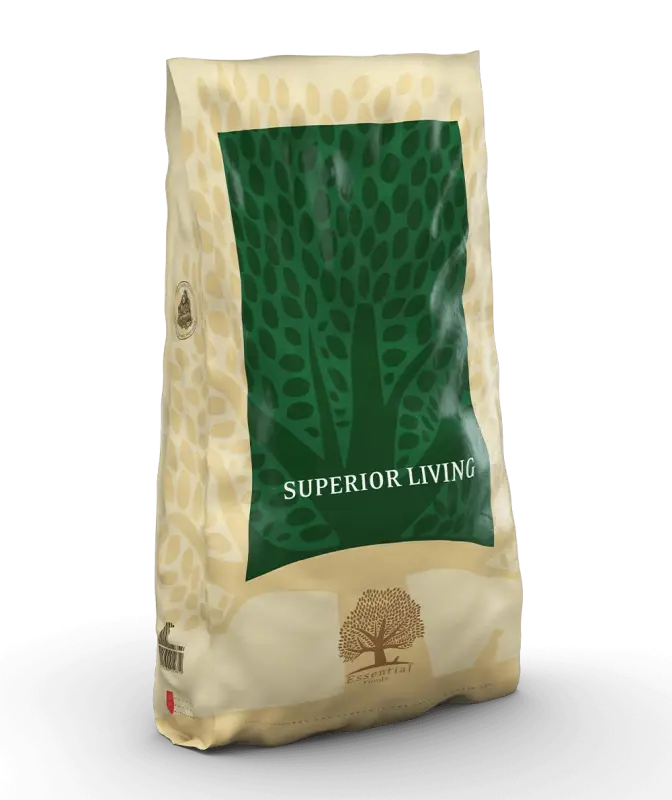 ESSENTIAL SUPERIOR LIVING 10 KG - Dog food