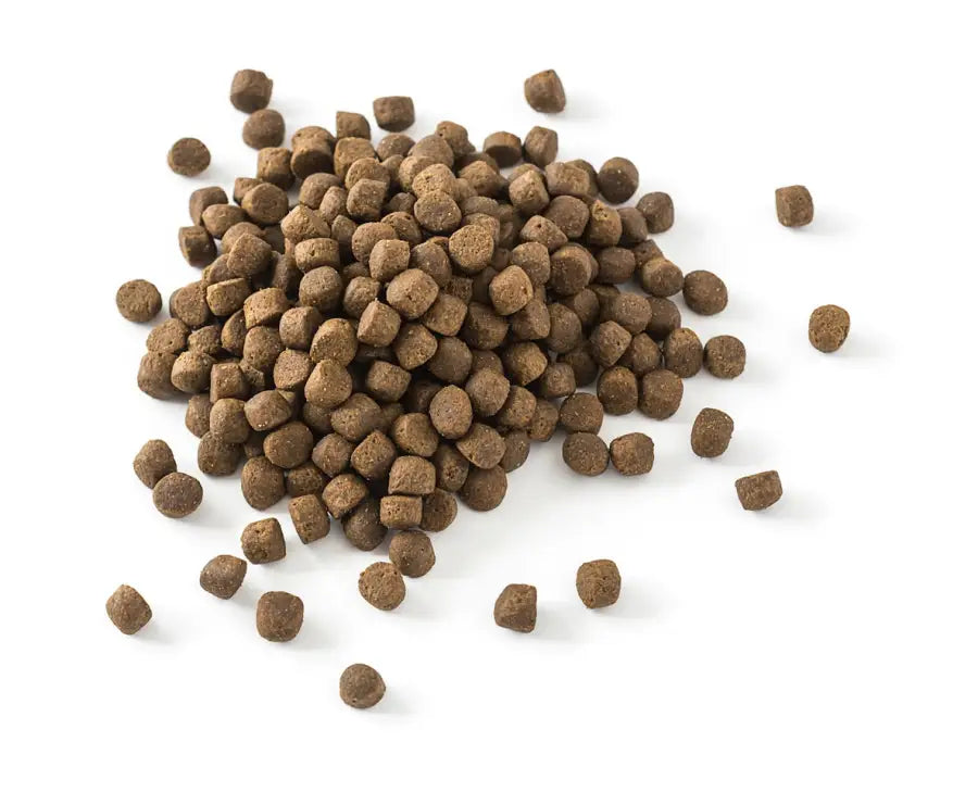 Essentials small breed 10kg puppy food Essentialfoods.ie