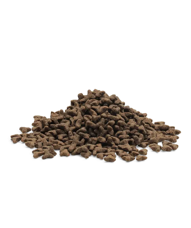 ESSENTIAL THE LITTLE LION 3KG - Cat Food