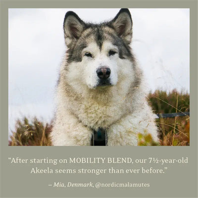 ESSENTIAL THE MOBILITY BLEND 500mL - Dog food