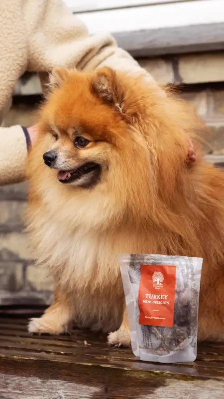 ESSENTIAL TURKEY MINI DELIGHTS 100G - TREATS