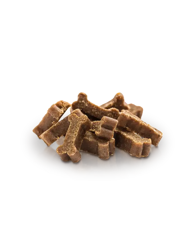 ESSENTIAL TURKEY MINI DELIGHTS 100G - TREATS