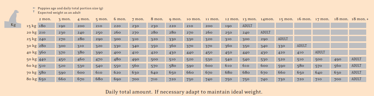 THE BEGINNING Large Breed