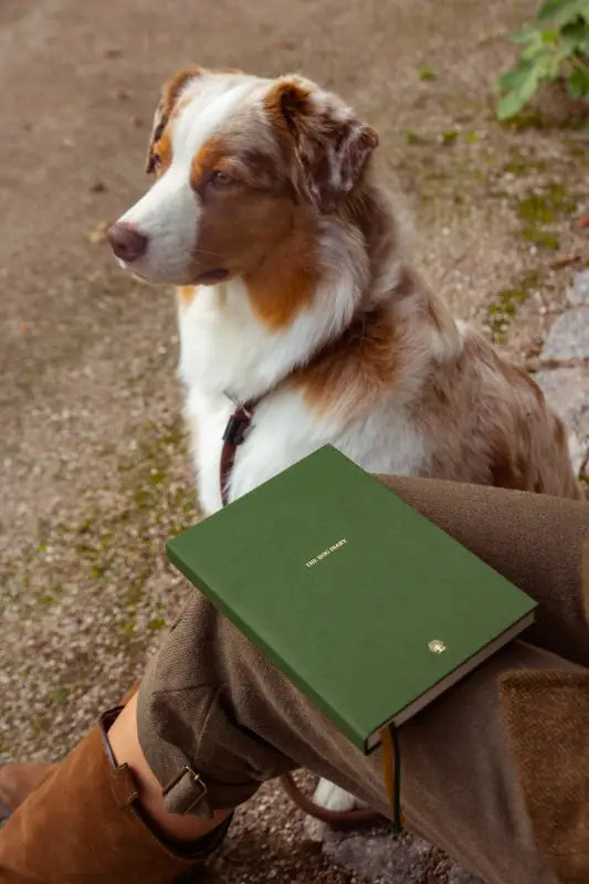 THE ESSENTIAL DIARY - Dog Diary